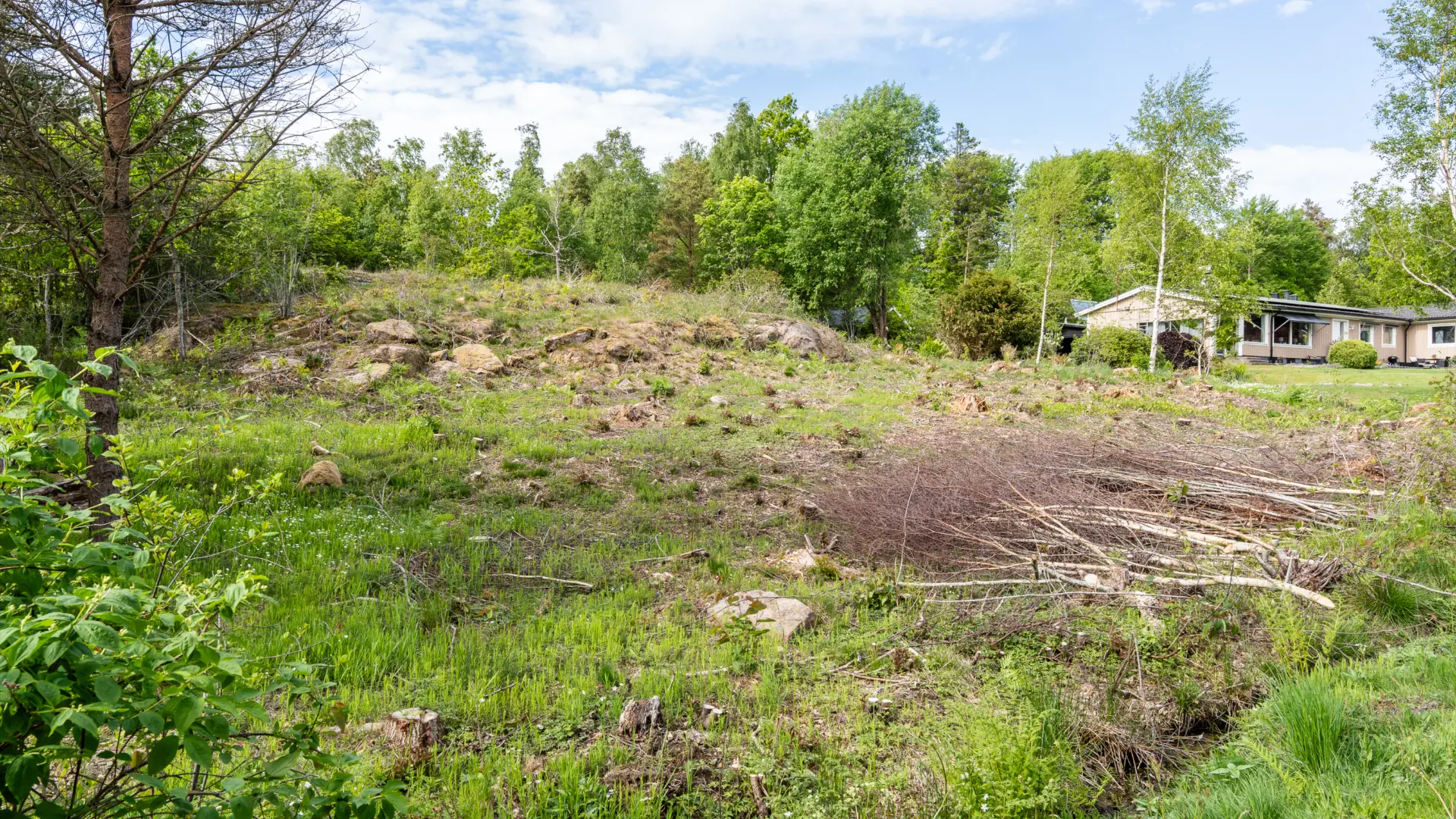 Empty plot at Fågeldammen before the house is built
